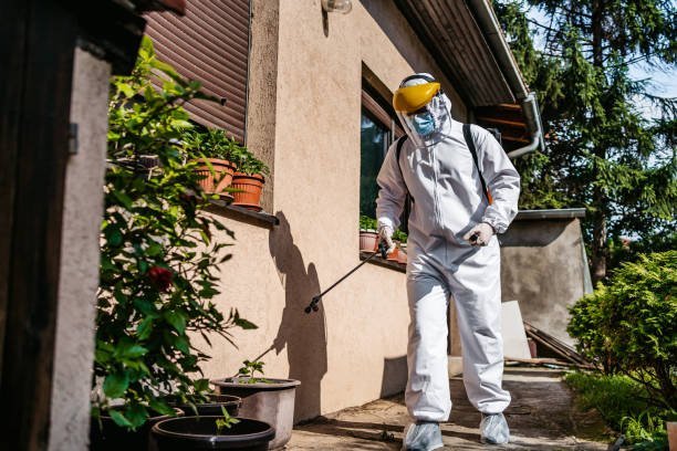 Best Pest Removal Services  in Gower, MO