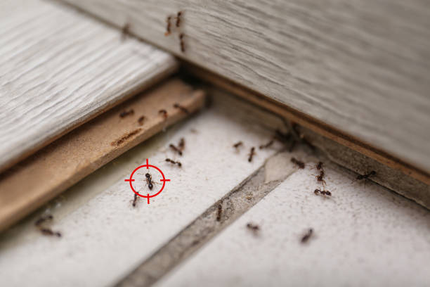 Gower, MO Pest Control Company
