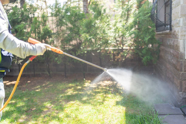 Best Affordable Pest Control Services  in Gower, MO
