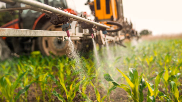 Best Commercial Pest Control Services  in Gower, MO